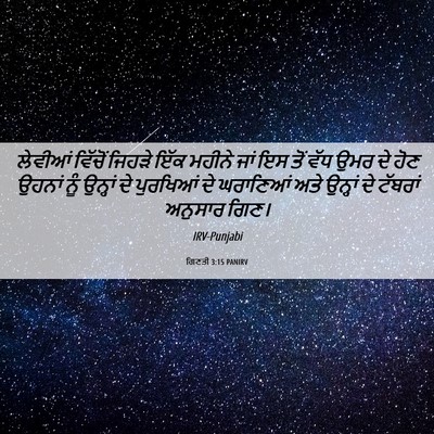 Picture 06 - ਗਿਣਤੀ 3:15 PANIRV - ਲੇਵੀਆਂ ਵਿੱਚੋਂ - Bible Verse Picture