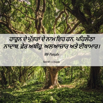 Picture 06 - ਗਿਣਤੀ 3:2 PANIRV - ਹਾਰੂਨ ਦੇ ਪੁੱਤਰਾਂ - Bible Verse Picture