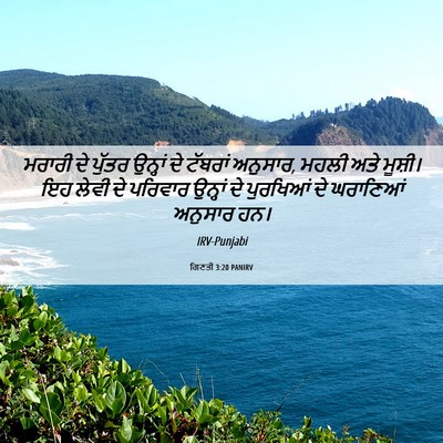 Picture 06 - ਗਿਣਤੀ 3:20 PANIRV - ਮਰਾਰੀ ਦੇ ਪੁੱਤਰ - Bible Verse Picture