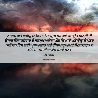 Picture 06 - ਗਿਣਤੀ 3:4 PANIRV - ਨਾਦਾਬ ਅਤੇ ਅਬੀਹੂ - Bible Verse Picture