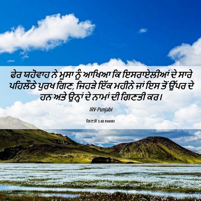 Picture 06 - ਗਿਣਤੀ 3:40 PANIRV - ਫੇਰ ਯਹੋਵਾਹ ਨੇ ਮੂਸਾ - Bible Verse Picture
