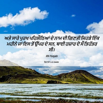 Picture 06 - ਗਿਣਤੀ 3:43 PANIRV - ਅਤੇ ਸਾਰੇ ਪੁਰਖ - Bible Verse Picture