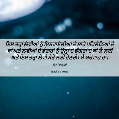 Picture 06 - ਗਿਣਤੀ 3:45 PANIRV - ਇਸ ਤਰ੍ਹਾਂ ਲੇਵੀਆਂ - Bible Verse Picture