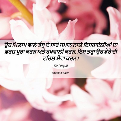 Picture 06 - ਗਿਣਤੀ 3:8 PANIRV - ਉਹ ਮਿਲਾਪ ਵਾਲੇ ਤੰਬੂ - Bible Verse Picture