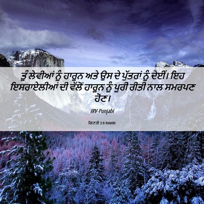 Picture 06 - ਗਿਣਤੀ 3:9 PANIRV - ਤੂੰ ਲੇਵੀਆਂ ਨੂੰ - Bible Verse Picture