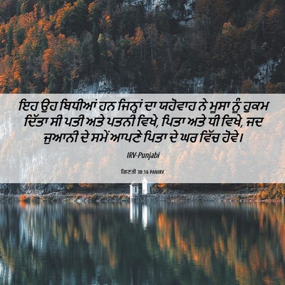 Picture 06 - ਗਿਣਤੀ 30:16 PANIRV - ਇਹ ਉਹ ਬਿਧੀਆਂ ਹਨ - Bible Verse Picture