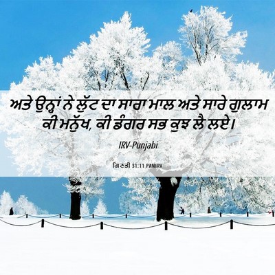 Picture 06 - ਗਿਣਤੀ 31:11 PANIRV - ਅਤੇ ਉਨ੍ਹਾਂ ਨੇ ਲੁੱਟ - Bible Verse Picture