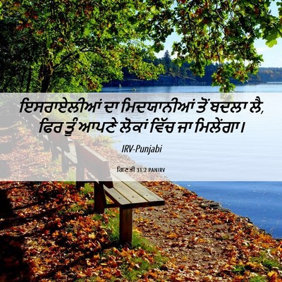 Picture 06 - ਗਿਣਤੀ 31:2 PANIRV - ਇਸਰਾਏਲੀਆਂ ਦਾ - Bible Verse Picture