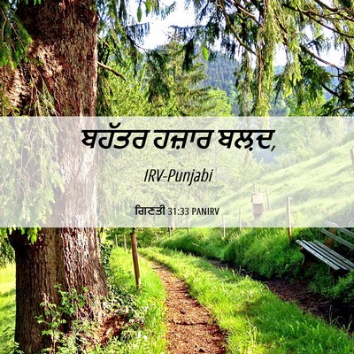 Picture 06 - ਗਿਣਤੀ 31:33 PANIRV - ਬਹੱਤਰ ਹਜ਼ਾਰ - Bible Verse Picture