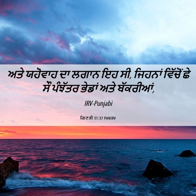 Picture 06 - ਗਿਣਤੀ 31:37 PANIRV - ਅਤੇ ਯਹੋਵਾਹ ਦਾ ਲਗਾਨ - Bible Verse Picture