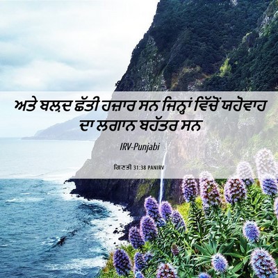 Picture 06 - ਗਿਣਤੀ 31:38 PANIRV - ਅਤੇ ਬਲ਼ਦ ਛੱਤੀ - Bible Verse Picture