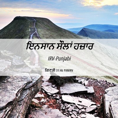 Picture 06 - ਗਿਣਤੀ 31:46 PANIRV - ਇਨਸਾਨ ਸੌਲਾਂ - Bible Verse Picture