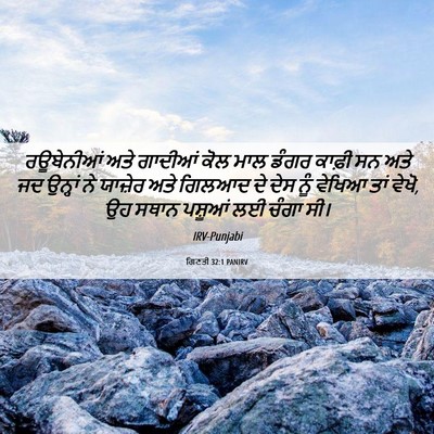 Picture 06 - ਗਿਣਤੀ 32:1 PANIRV - ਰਊਬੇਨੀਆਂ ਅਤੇ - Bible Verse Picture