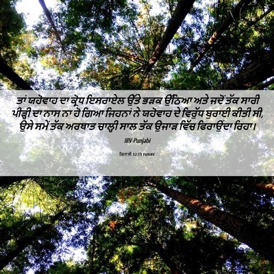Picture 06 - ਗਿਣਤੀ 32:13 PANIRV - ਤਾਂ ਯਹੋਵਾਹ ਦਾ - Bible Verse Picture