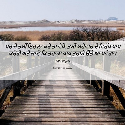 Picture 06 - ਗਿਣਤੀ 32:23 PANIRV - ਪਰ ਜੇ ਤੁਸੀਂ ਇਹ ਨਾ - Bible Verse Picture