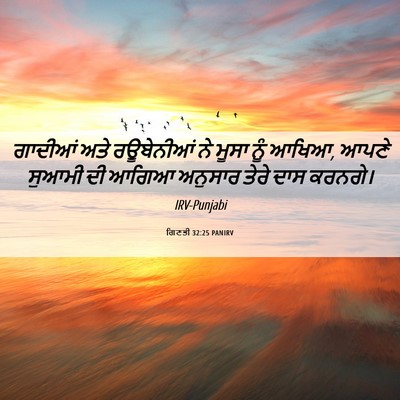 Picture 06 - ਗਿਣਤੀ 32:25 PANIRV - ਗਾਦੀਆਂ ਅਤੇ - Bible Verse Picture