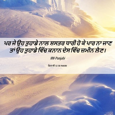 Picture 06 - ਗਿਣਤੀ 32:30 PANIRV - ਪਰ ਜੇ ਉਹ ਤੁਹਾਡੇ ਨਾਲ - Bible Verse Picture