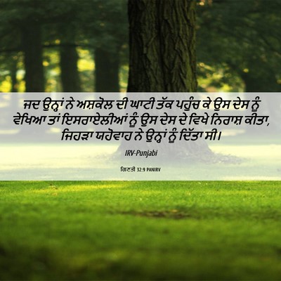 Picture 06 - ਗਿਣਤੀ 32:9 PANIRV - ਜਦ ਉਨ੍ਹਾਂ ਨੇ - Bible Verse Picture