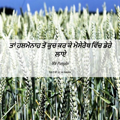 Picture 06 - ਗਿਣਤੀ 33:30 PANIRV - ਤਾਂ ਹਸ਼ਮੋਨਾਹ ਤੋਂ - Bible Verse Picture