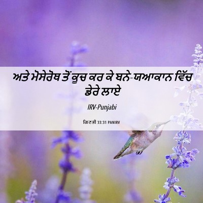 Picture 06 - ਗਿਣਤੀ 33:31 PANIRV - ਅਤੇ ਮੋਸੇਰੋਥ ਤੋਂ - Bible Verse Picture