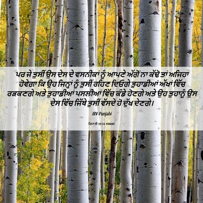 Picture 06 - ਗਿਣਤੀ 33:55 PANIRV - ਪਰ ਜੇ ਤੁਸੀਂ ਉਸ ਦੇਸ - Bible Verse Picture