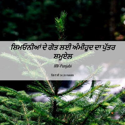 Picture 06 - ਗਿਣਤੀ 34:20 PANIRV - ਸ਼ਿਮਓਨੀਆਂ ਦੇ ਗੋਤ - Bible Verse Picture