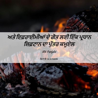 Picture 06 - ਗਿਣਤੀ 34:24 PANIRV - ਅਤੇ ਇਫ਼ਰਾਈਮੀਆਂ ਦੇ - Bible Verse Picture