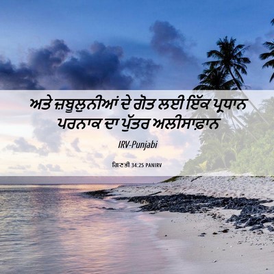 Picture 06 - ਗਿਣਤੀ 34:25 PANIRV - ਅਤੇ ਜ਼ਬੂਲੁਨੀਆਂ ਦੇ - Bible Verse Picture