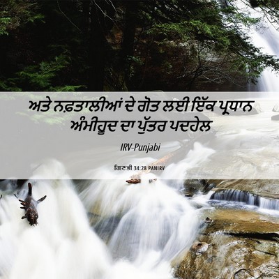 Picture 06 - ਗਿਣਤੀ 34:28 PANIRV - ਅਤੇ ਨਫ਼ਤਾਲੀਆਂ ਦੇ - Bible Verse Picture