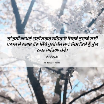 Picture 06 - ਗਿਣਤੀ 35:11 PANIRV - ਤਾਂ ਤੁਸੀਂ ਆਪਣੇ ਲਈ - Bible Verse Picture