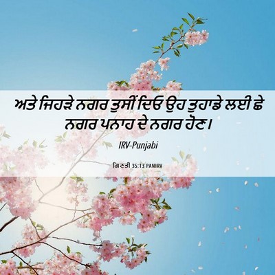 Picture 06 - ਗਿਣਤੀ 35:13 PANIRV - ਅਤੇ ਜਿਹੜੇ ਨਗਰ - Bible Verse Picture