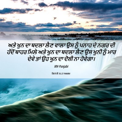 Picture 06 - ਗਿਣਤੀ 35:27 PANIRV - ਅਤੇ ਖੂਨ ਦਾ ਬਦਲਾ ਲੈਣ - Bible Verse Picture
