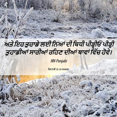Picture 06 - ਗਿਣਤੀ 35:29 PANIRV - ਅਤੇ ਇਹ ਤੁਹਾਡੇ ਲਈ - Bible Verse Picture