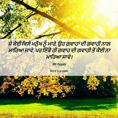 Picture 06 - ਗਿਣਤੀ 35:30 PANIRV - ਜੇ ਕੋਈ ਕਿਸੇ ਮਨੁੱਖ - Bible Verse Picture