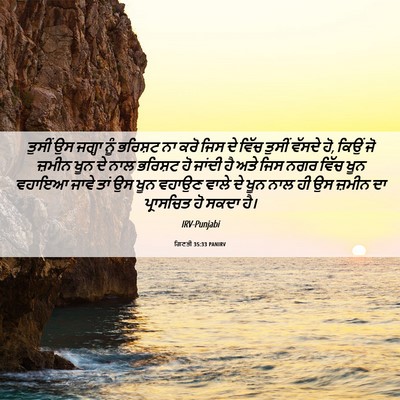 Picture 06 - ਗਿਣਤੀ 35:33 PANIRV - ਤੁਸੀਂ ਉਸ ਜਗ੍ਹਾ ਨੂੰ - Bible Verse Picture