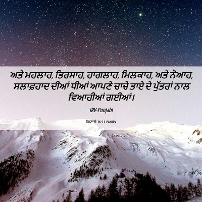 Picture 06 - ਗਿਣਤੀ 36:11 PANIRV - ਅਤੇ ਮਹਲਾਹ, ਤਿਰਸਾਹ, - Bible Verse Picture