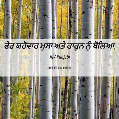 Picture 06 - ਗਿਣਤੀ 4:17 PANIRV - ਫੇਰ ਯਹੋਵਾਹ ਮੂਸਾ - Bible Verse Picture