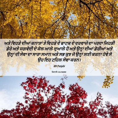 Picture 06 - ਗਿਣਤੀ 4:26 PANIRV - ਅਤੇ ਵਿਹੜੇ ਦੀਆਂ - Bible Verse Picture