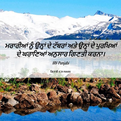 Picture 06 - ਗਿਣਤੀ 4:29 PANIRV - ਮਰਾਰੀਆਂ ਨੂੰ - Bible Verse Picture