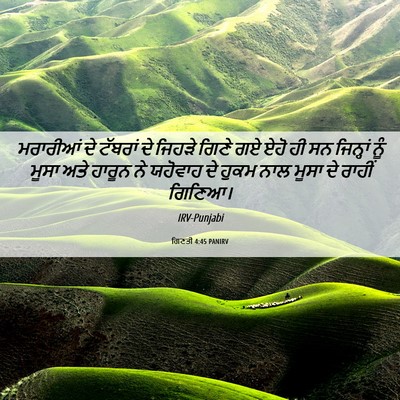 Picture 06 - ਗਿਣਤੀ 4:45 PANIRV - ਮਰਾਰੀਆਂ ਦੇ ਟੱਬਰਾਂ - Bible Verse Picture