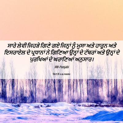 Picture 06 - ਗਿਣਤੀ 4:46 PANIRV - ਸਾਰੇ ਲੇਵੀ ਜਿਹੜੇ - Bible Verse Picture