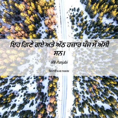 Picture 06 - ਗਿਣਤੀ 4:48 PANIRV - ਇਹ ਗਿਣੇ ਗਏ ਅਤੇ ਅੱਠ - Bible Verse Picture