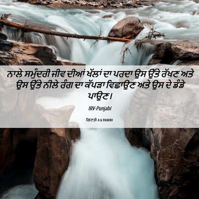 Picture 06 - ਗਿਣਤੀ 4:6 PANIRV - ਨਾਲੇ ਸਮੁੰਦਰੀ ਜੀਵ - Bible Verse Picture