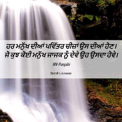 Picture 06 - ਗਿਣਤੀ 5:10 PANIRV - ਹਰ ਮਨੁੱਖ ਦੀਆਂ - Bible Verse Picture