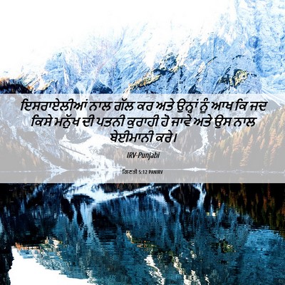 Picture 06 - ਗਿਣਤੀ 5:12 PANIRV - ਇਸਰਾਏਲੀਆਂ ਨਾਲ ਗੱਲ - Bible Verse Picture