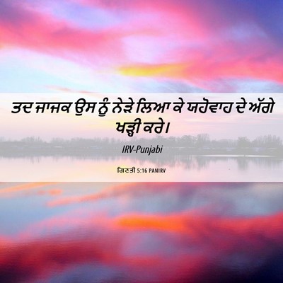 Picture 06 - ਗਿਣਤੀ 5:16 PANIRV - ਤਦ ਜਾਜਕ ਉਸ ਨੂੰ ਨੇੜੇ - Bible Verse Picture