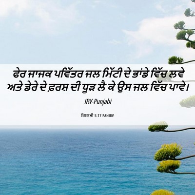 Picture 06 - ਗਿਣਤੀ 5:17 PANIRV - ਫੇਰ ਜਾਜਕ ਪਵਿੱਤਰ ਜਲ - Bible Verse Picture