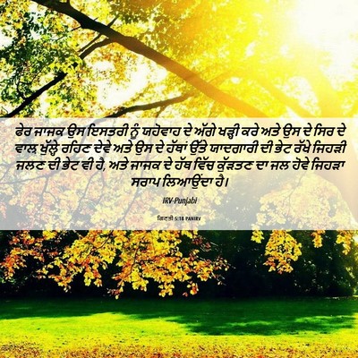 Picture 06 - ਗਿਣਤੀ 5:18 PANIRV - ਫੇਰ ਜਾਜਕ ਉਸ ਇਸਤਰੀ - Bible Verse Picture