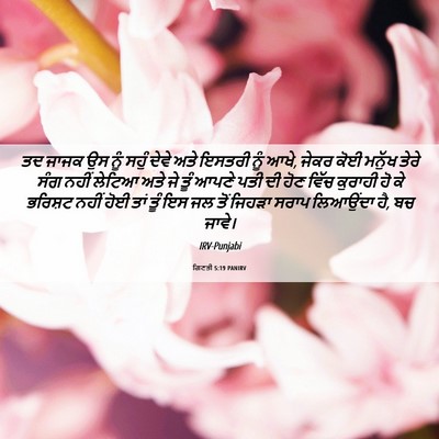 Picture 06 - ਗਿਣਤੀ 5:19 PANIRV - ਤਦ ਜਾਜਕ ਉਸ ਨੂੰ ਸਹੁੰ - Bible Verse Picture