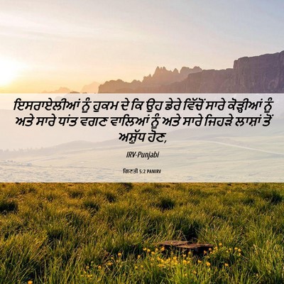 Picture 06 - ਗਿਣਤੀ 5:2 PANIRV - ਇਸਰਾਏਲੀਆਂ ਨੂੰ - Bible Verse Picture